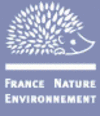 fne