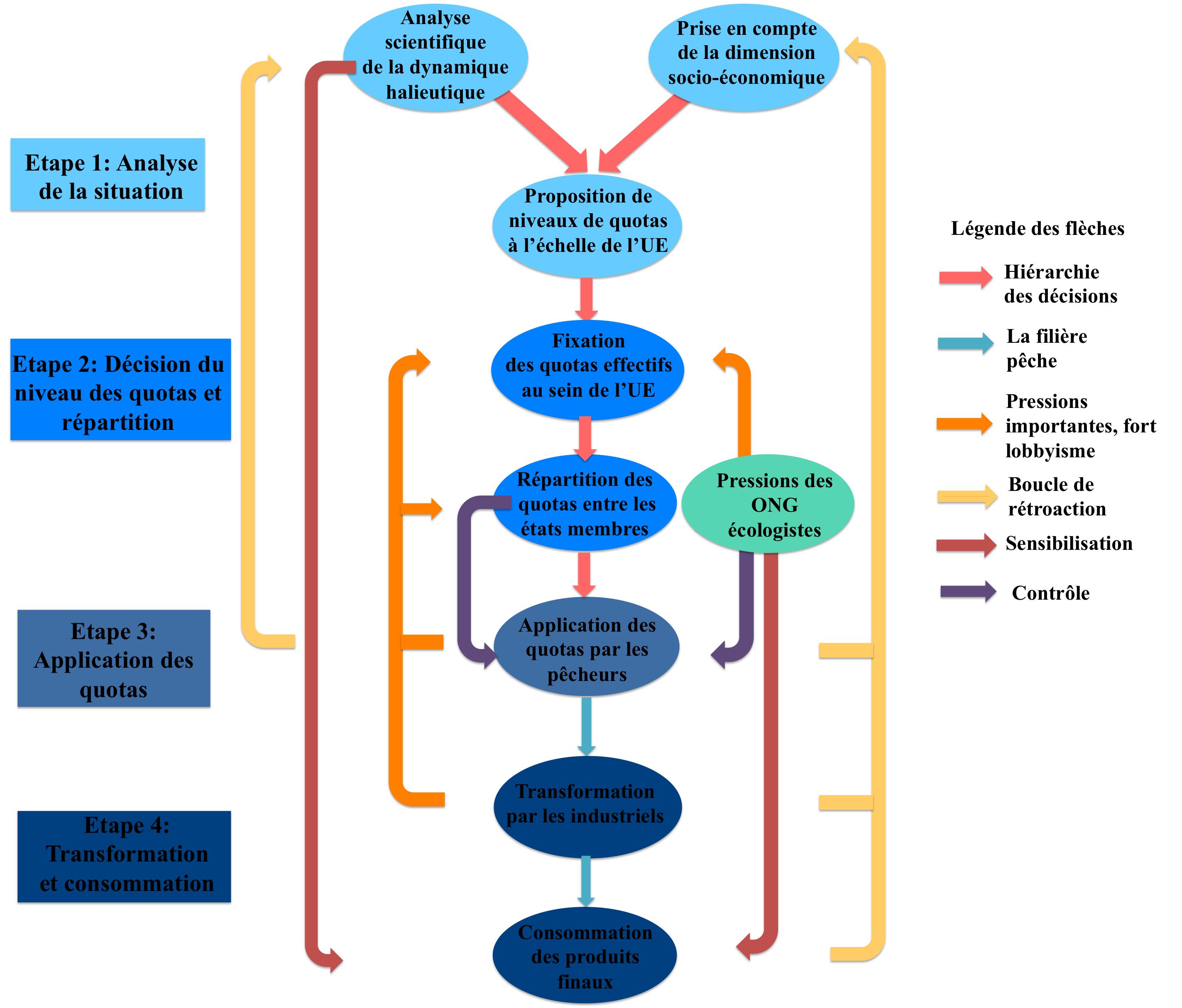 Diagramme.jpg
