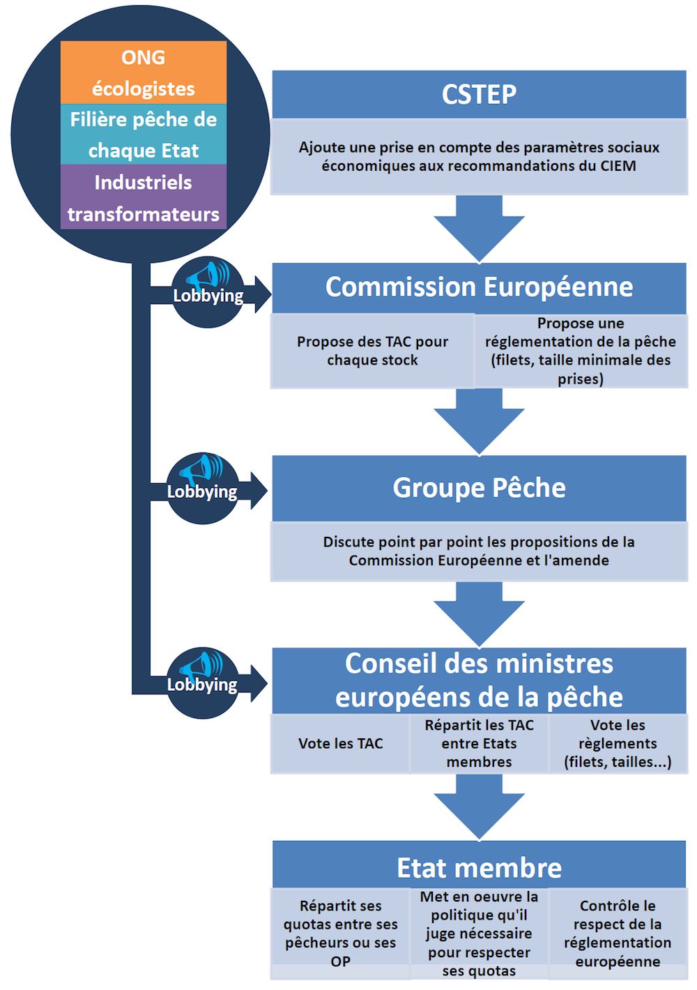Diagramme présentant le processus d'élaboration des quotas