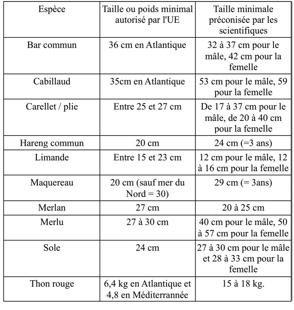 Taille minimum de capture