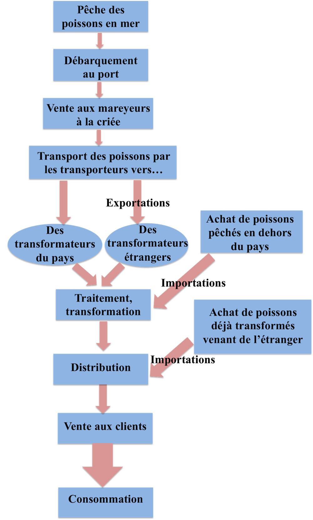 Graphe de la consommation de poisson