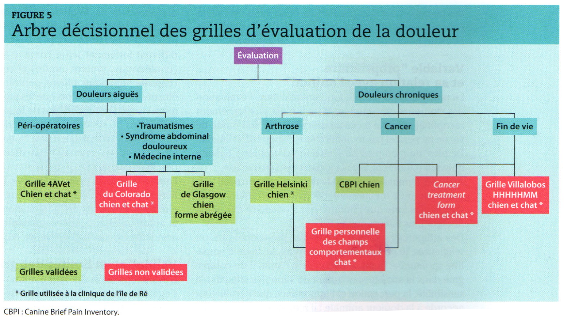 Arbre décisionnel des grilles d'évaluation de la douleur chez le chien et le chat